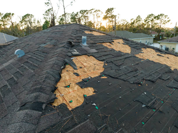 Best Skylight Installation and Repair  in Mart, TX
